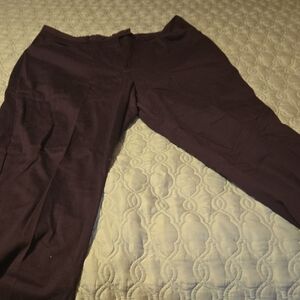 Lane Bryant Deep Purple Trousers